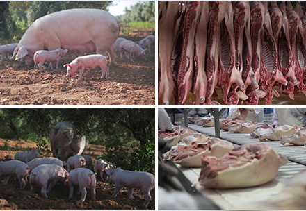 營(yíng)養(yǎng)知識(shí)